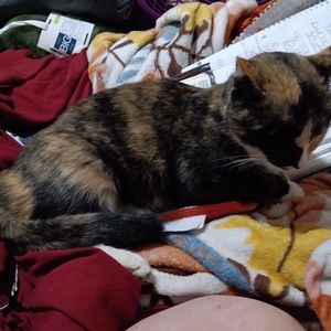 Meet your Posher, Sonya